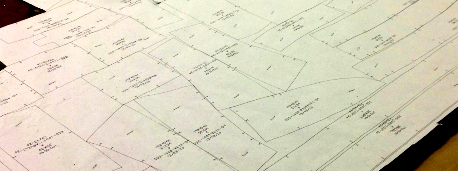 contribute from day one.”